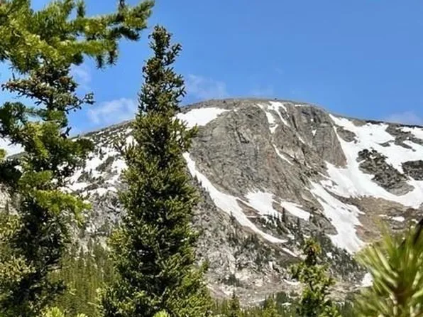 000 Brook Drive, Idaho Springs, CO 80452