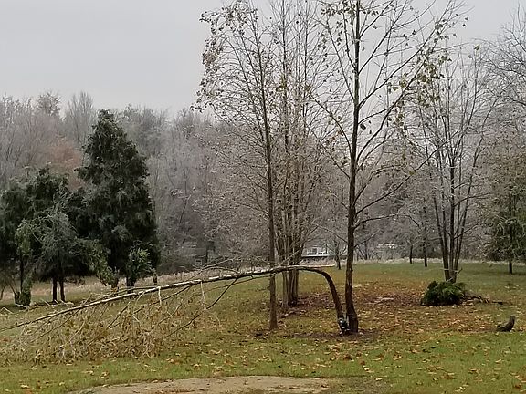 5th image of 37 Lloyd Johnson Ln