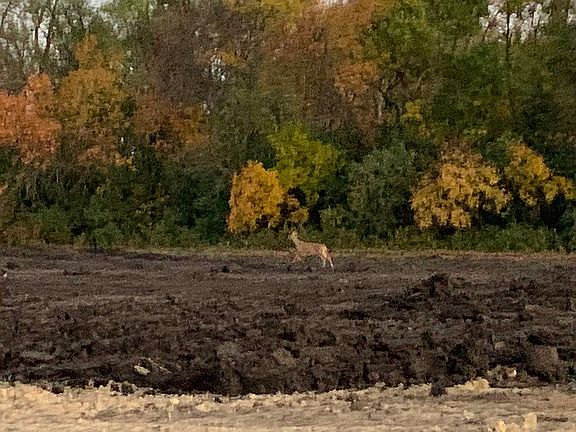 3rd image of 1421 Prairie Ln