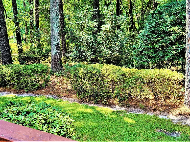 174 Boiling Springs Cir — Photo 37