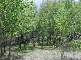 13472 Douglass Ranch Dr, Pine, CO 80470