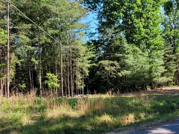 Dogwood Ct, Spring City, TN 37381