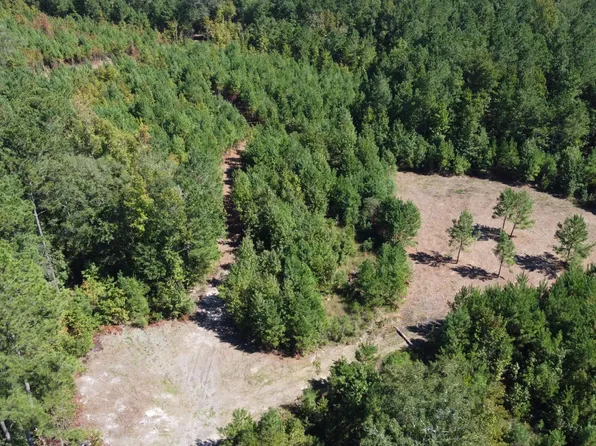 0 Albert Ln, Ridgeville, SC 29472