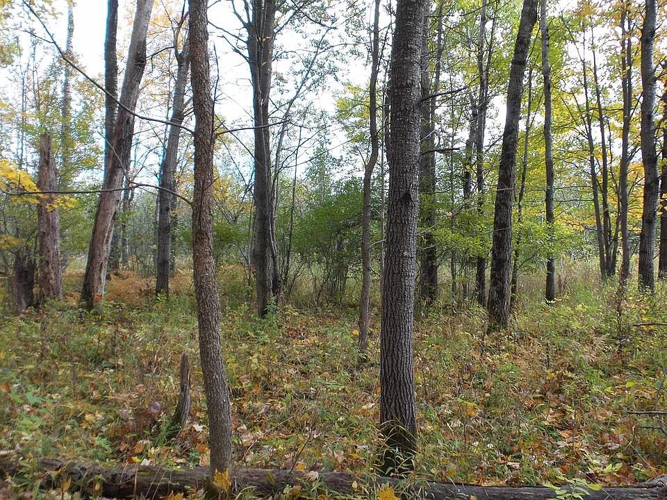 PERKINSTOWN AVENUE, Medford, WI 54451 Zillow