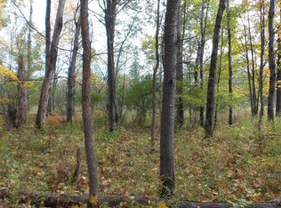 Perkinstown Ave, Medford, WI 54451