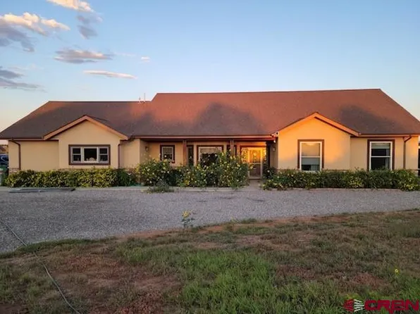 605 Fork Horn Court, Durango, CO 81303