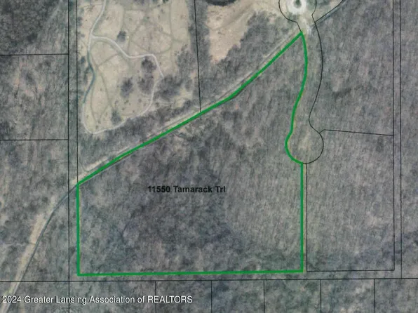 11550 Tamarack Trl, Bath, MI 48808