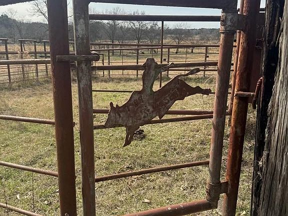 5th image of Squirrel Rd