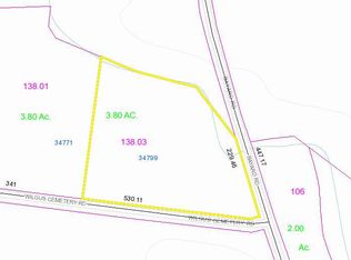 34799 Wilgus Cemetery Rd, Frankford, DE 19945