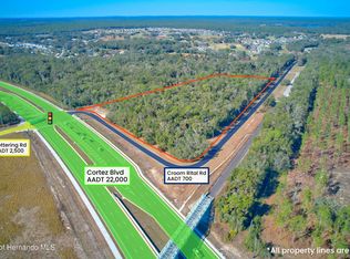 0 Croom Rital Rd, Brooksville, FL 34602