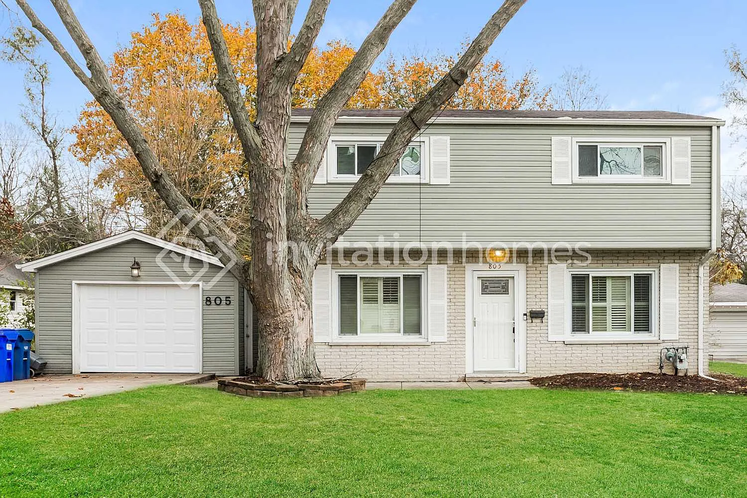 805 Delles Rd Wheaton, IL 60189 — Photo 1