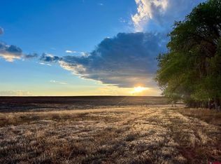 TBD 17 Road, Yellow Jacket, CO 81335