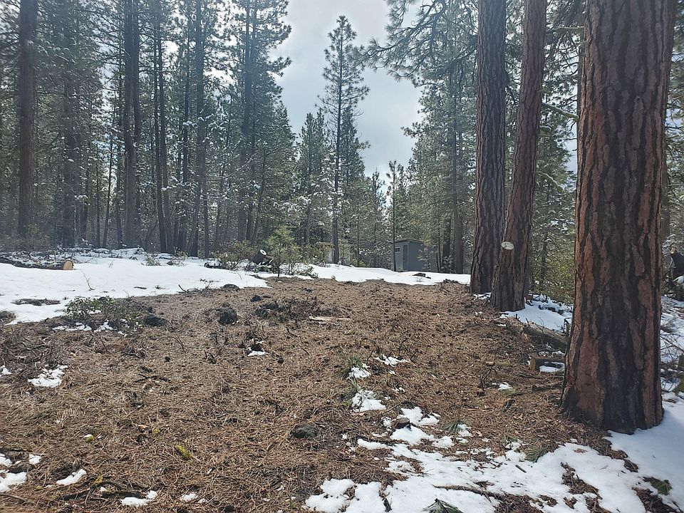 2nd image of LOT 6 Bongo Ln