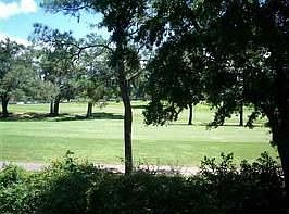 Golf view