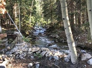 37 Ray's Ln, Silver Plume, CO 80476
