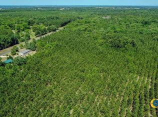 Moores Chapel Rd, Butler, GA 31006