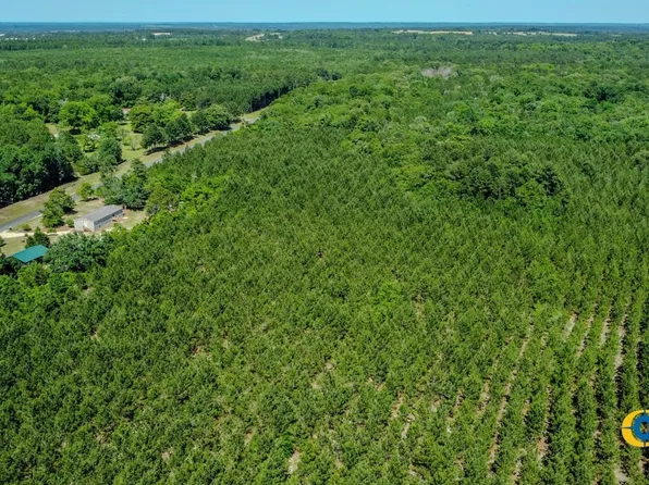 Moores Chapel Rd, Butler, GA 31006