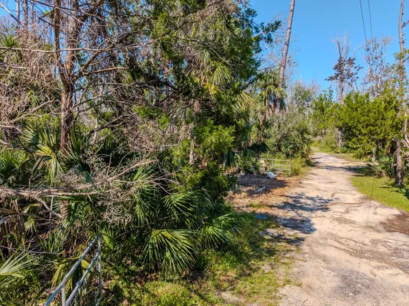  NE Central Ave, Steinhatchee, FL 32359