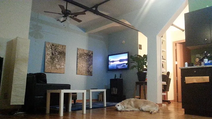 Rented by Garden Management | media 37