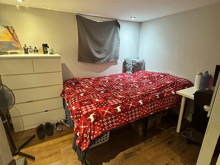166 Erindale Ave #BSMNT — Photo 8