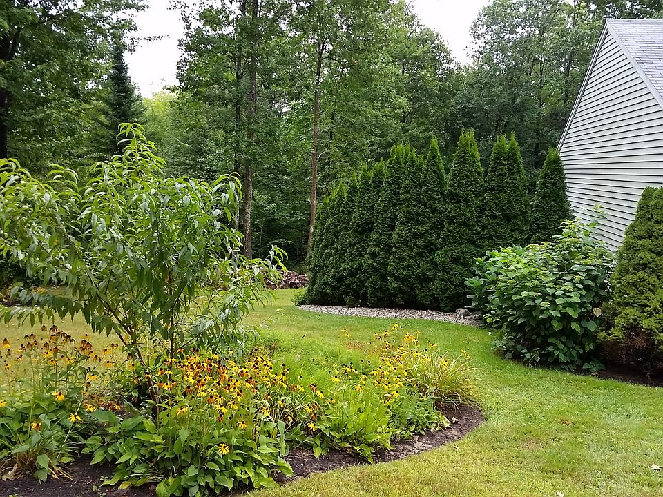 left of house