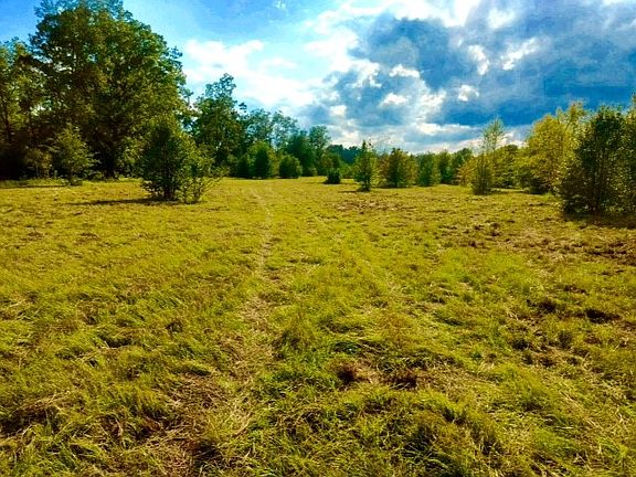 2nd image of 2548 Cedar Grove Road Leesville Sc 29070