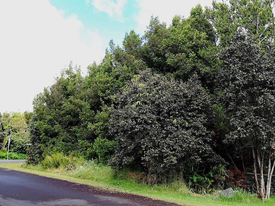 2nd image of Painiu Loop Lot 31