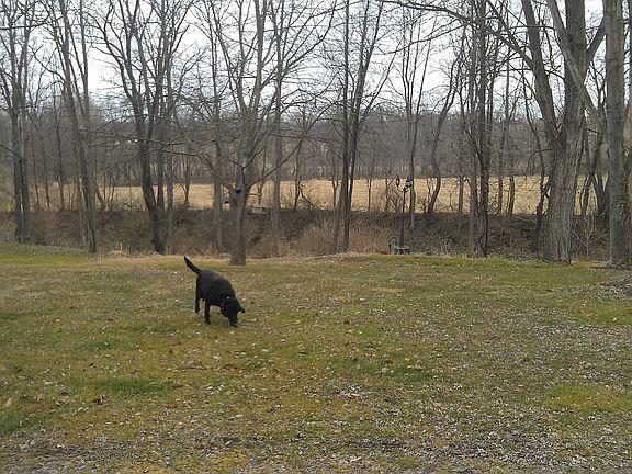 Front yard facing Ohio-Erie Canal from driveway