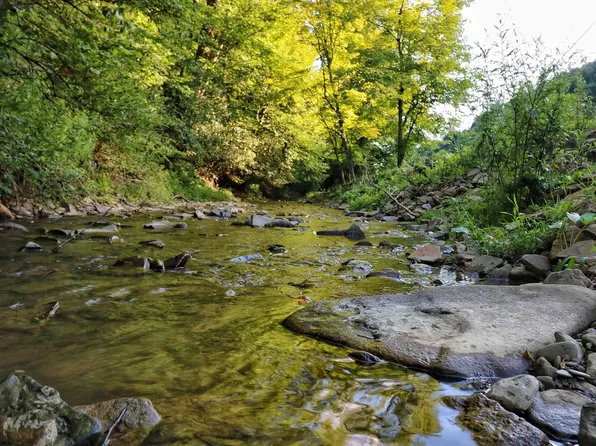 Salt Lick Rd, Terra Alta, WV 26764