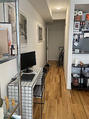 4th image of 85 Avenue A APT 5F