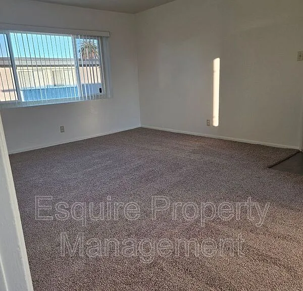125 Hill St #4 — Photo 6