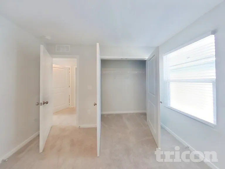 64 Brazil Nut Cir — Photo 11