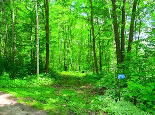 27589 Norway Trl, Randall, MN 56475