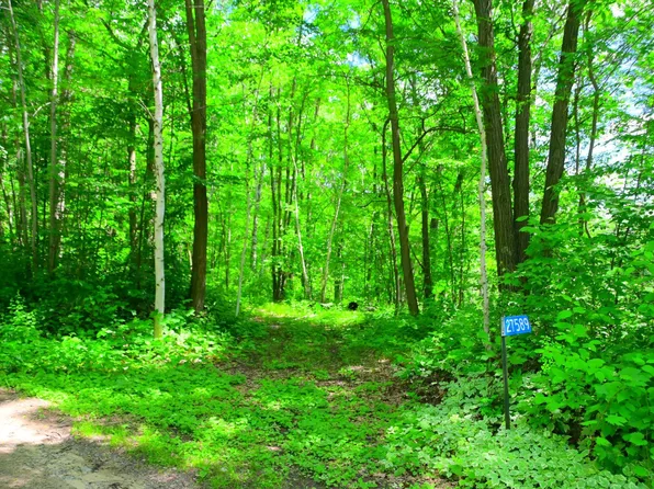 27589 Norway Trl, Randall, MN 56475