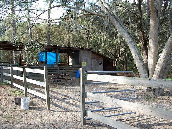 Horse Stables and Barn