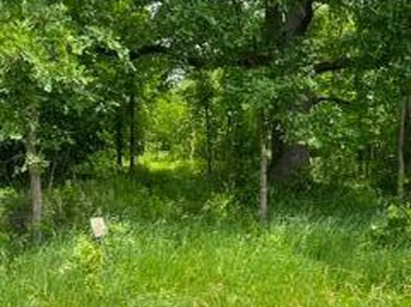 Norman Rd, Imlay City, MI 48444