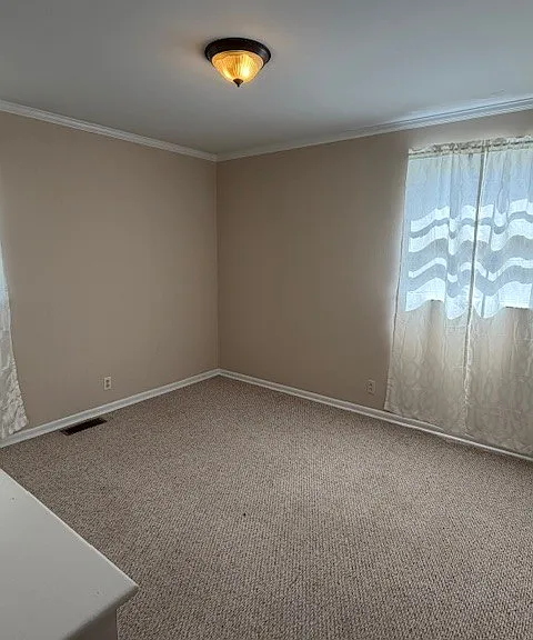 3509 Pinson School Rd — Photo 12