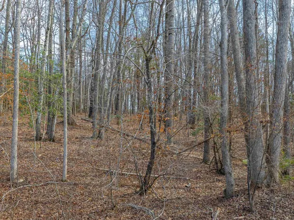 Bible Way Rd, Victoria, VA 23974