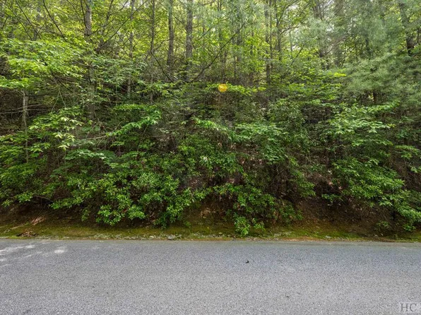 Lot 121 Buckberry Drive, Sapphire, NC 28774