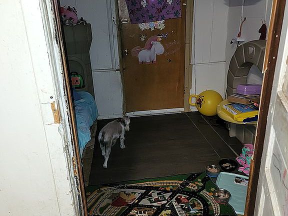4th image of 1104-1106 N Desloge Dr