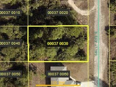 52 Sally Ave S, Lehigh Acres, FL, 33976