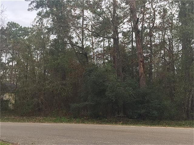 1st image of Big Deer Dr