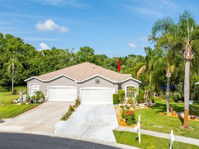 12134 Tournament View Ave, New Port Richey, FL, 34654