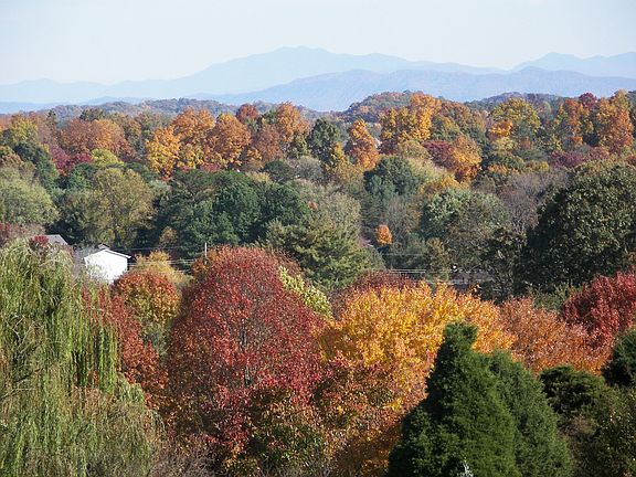 FALL VIEW FROM DECK