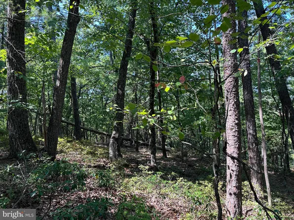 164 Valley View Rd, Basye, VA 22810