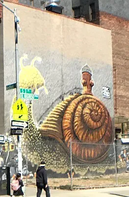 Rented by Bridge Realty | media 41