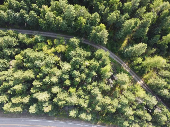 35 Nhn Mount Hwy, Bigfork, MT 59911