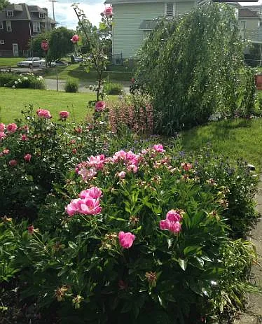 Professionally landscaped.