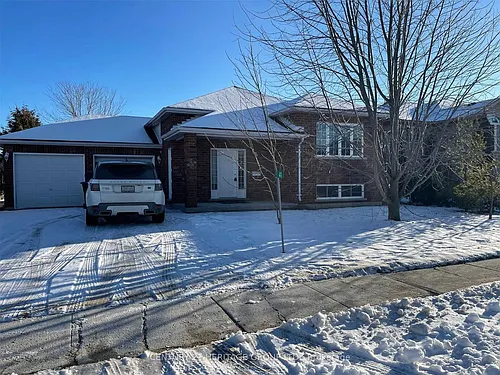 41 Graham St #LOWER Photo 1