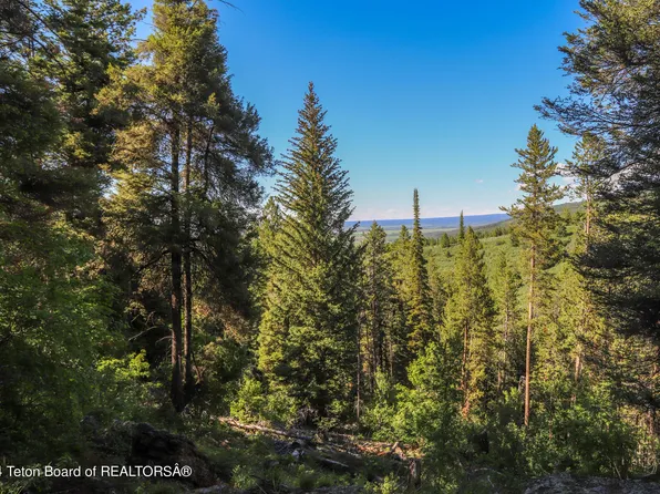 3642 Sorensen Creek Dr, Victor, ID 83455